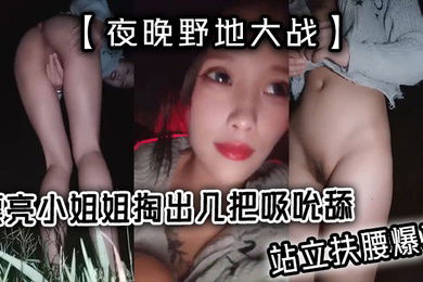 夜晚野地大战漂亮小姐姐掏出几把吸吮舔站立扶腰爆草抬腿特写抽插全力冲刺猛干